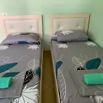 Natyra Te Eti